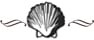 Shell Icon